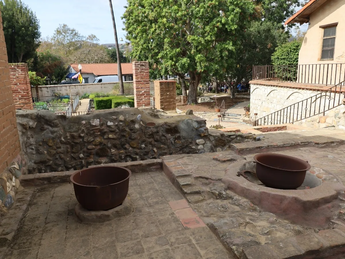 backyard renovation companies